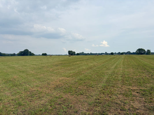 Grass Round Bales 5'x5'