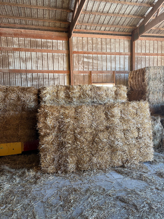 Straw Square Bales