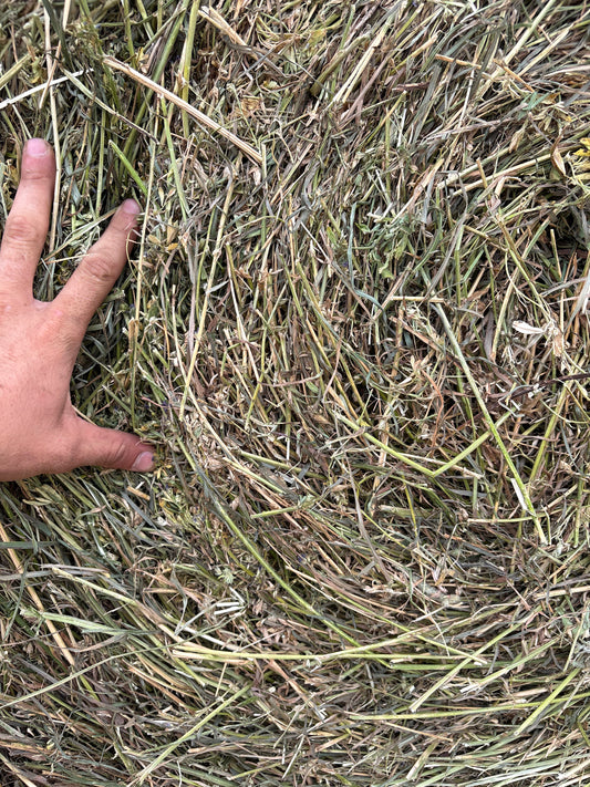 Alfalfa, Timothy mix Round Bales 5'x5'