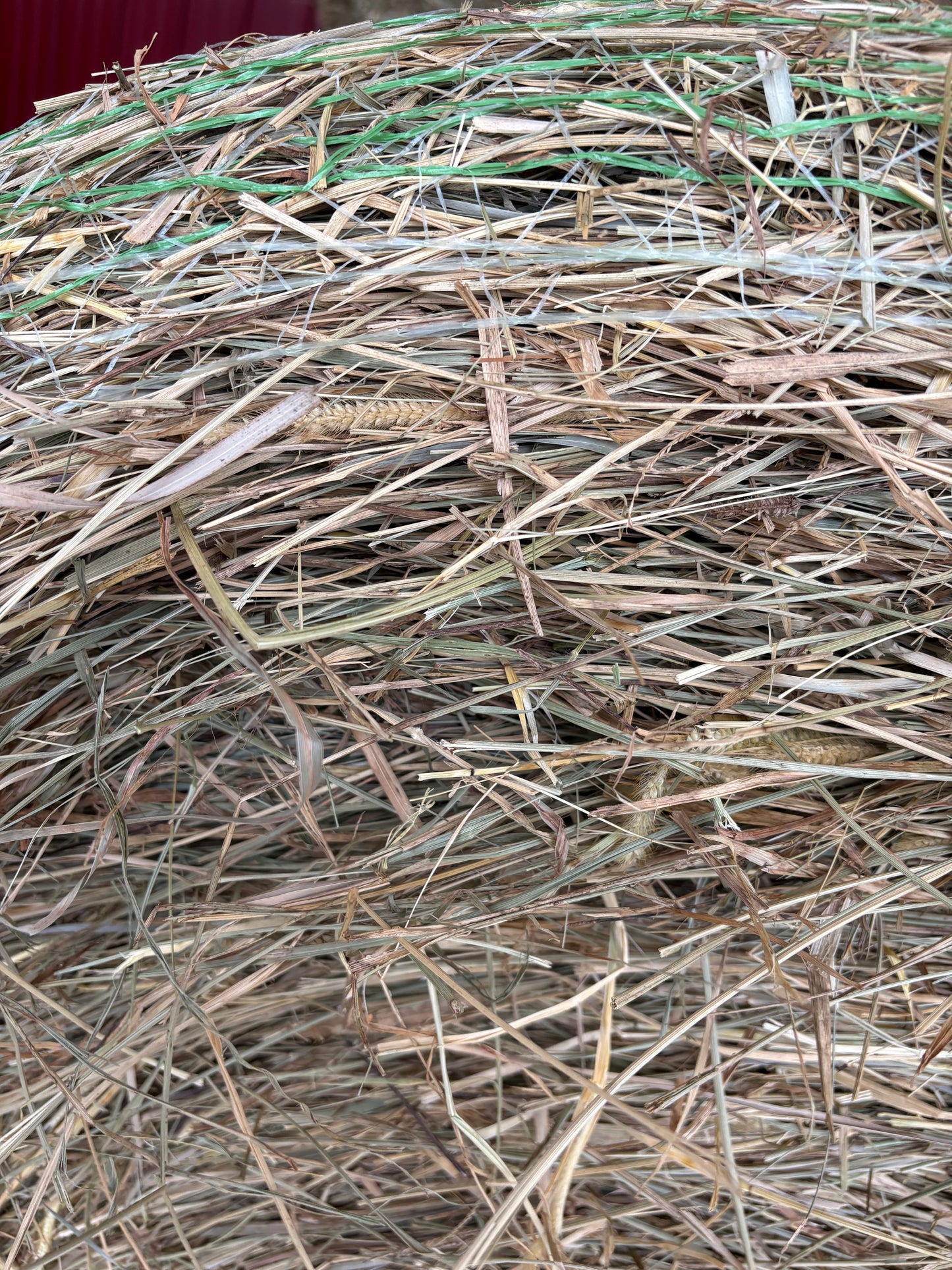 Grass Round Bales 5'x5'