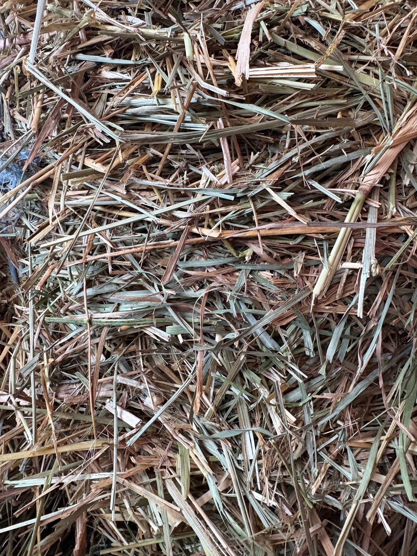 Mixed Grass Square Bales