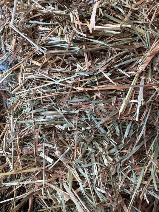 Mixed Grass Square Bales