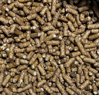 Performance Feed 12% Equine Pellet