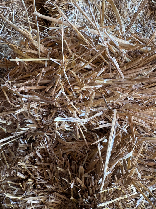 Straw Square Bales