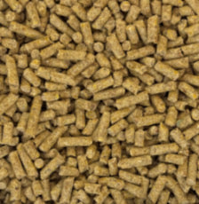 Performance Feed 17% Layer Pellet