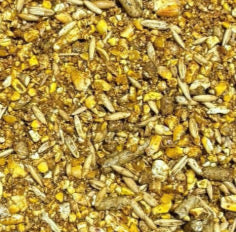 Performance Feed 12% Commercial Beef