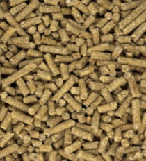Performance 16% Beef Grower Pellet
