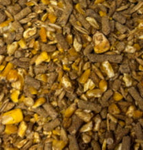Edge 16% Heifer Grower