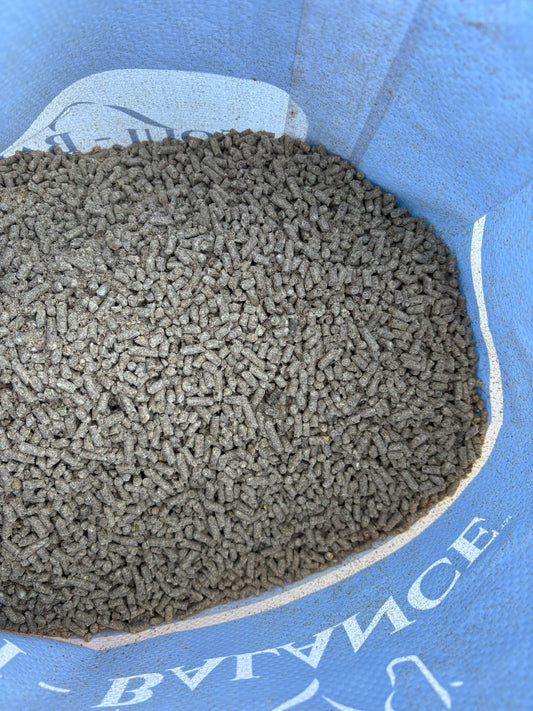 Performance Feed Safe and Reliable